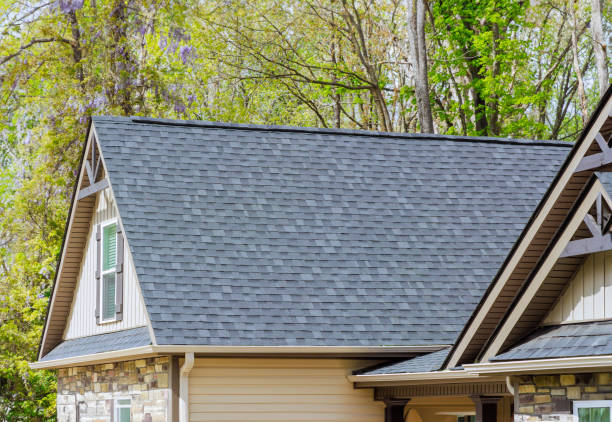 Best Green or Eco-Friendly Roofing Solutions  in USA